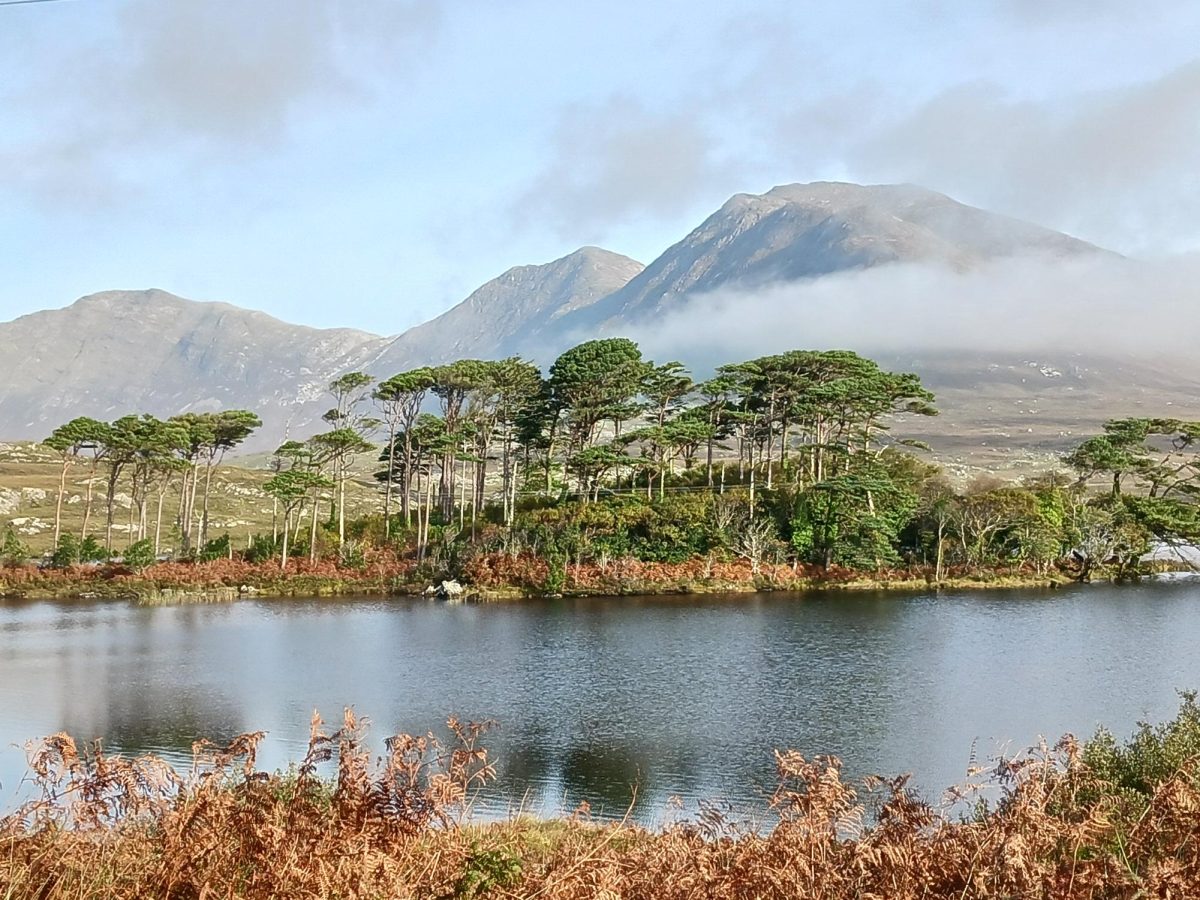 Junior Gabe Bailor traveled to Ireland